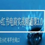 小红书电商实战课程，抓住小红书平台的风口，不错过有一个赚钱的机会