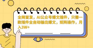 全网首发,AI公众号爆文插件,只需一款插件全自动输出爆文,矩阵操作,月入3W+【揭秘】-开心分享网