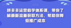拼多多运营必学体系课,带你了解最新流量获取方法、帮助你降低推广成本-开心分享网