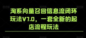 淘系向量召回信息流闭环玩法V7.0,一套全新的起店流程玩法-开心分享网