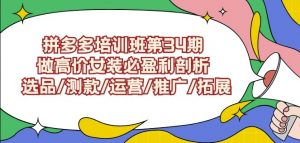 拼多多培训班第34期:做高价女装必盈利剖析选品/测款/运营/推广/拓展-开心分享网