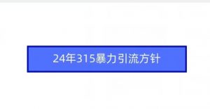 24年315暴力引流方针-开心分享网