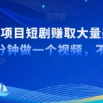 超级蓝海项目短剧赚取大量美钞项目，国内短剧出海TK赚美钞，十分钟做一个视频【揭秘】