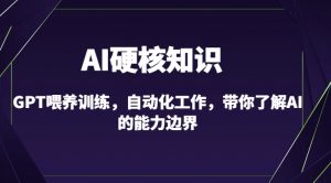 AI硬核知识-GPT喂养训练,自动化工作,带你了解AI的能力边界(10节课)-开心分享网