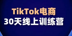 TikTok电商带货30天线上课，不可错过的全球流量洼地！-开心分享网