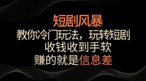 短剧风暴,教你冷门玩法,玩转短剧,收钱收到手软【揭秘】-开心分享网