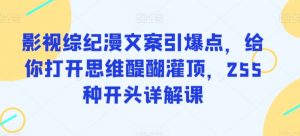 影视综纪漫文案引爆点,给你打开思维醍醐灌顶,255种开头详解课-开心分享网
