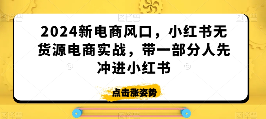2024新电商风口,小红书无货源电商实战,带一部分人先冲进小红书-开心分享网