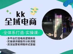 KK全域电商,全体系打造实操课,多平台打造电商逻辑体系-开心分享网