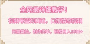 全网最详细教学,视频号蓝海赛道,口播情感视频,无需露脸,制作简单,轻松实现日入1000+【揭秘】-开心分享网