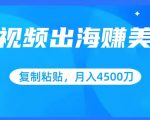 短视频出海赚美金，复制粘贴批量操作，小白轻松掌握，月入4500美刀【揭秘】