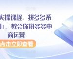 拼多多实操课程，拼多多系统从0到1，教会你拼多多电商运营