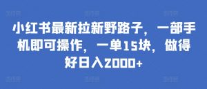 小红书最新拉新野路子,一部手机即可操作,一单15块,做得好日入2000+【揭秘】-开心分享网