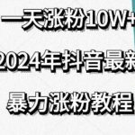 抖音最新暴力涨粉教程，视频去重，一天涨粉10W+，效果太暴力了，刷新你们的认知【揭秘】