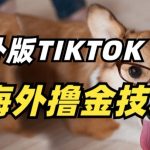 抖音海外版TIKTOK撸金技术，这个风口行业，赚钱真的不难【揭秘】