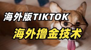 抖音海外版tiktok撸金技术,这个风口行业,赚钱真的不难【揭秘】-开心分享网
