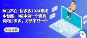 拼多多2024零成本包起,0成本做一个高利润的拼多多,方法不只一个-开心分享网