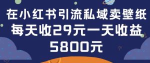 在小红书引流私域卖壁纸每张29元单日最高卖出200张(0-1搭建教程)【揭秘】-开心分享网