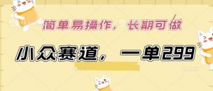 小众赛道，一单299.简单易操作，长期可做【揭秘】-开心分享网