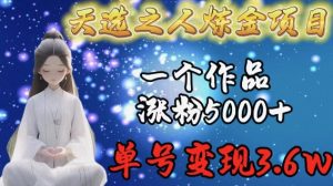 天选之人炼金项目,一个作品涨粉5000+,单号变现3.6w【揭秘】-开心分享网