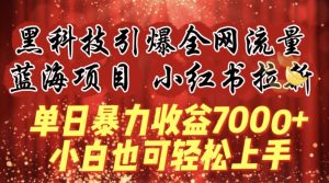 蓝海项目!黑科技引爆全网流量小红书拉新，单日暴力收益7000+，小白也能轻松上手【揭秘】-开心分享网