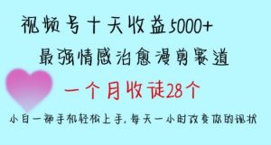 十天收益5000+,多平台捞金,视频号情感治愈漫剪,一个月收徒28个,小白一部手机轻松上手【揭秘】-开心分享网