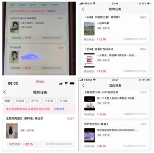 2024年3月最新,快手磁力聚星全流程实操教学,8台手机日均收益稳定100~200元【揭秘】-开心分享网