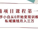 教辅项目课程第一期：新手小白从0开始变现训练营 私域搞钱月入三万