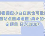 国外问卷调查小白在家也可批量操作(口子查站点查渠道查)真正的长久稳定项目 日入1500+【揭秘】