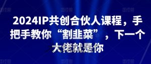 2024IP共创合伙人课程，手把手教你“割韭菜”，下一个大佬就是你-开心分享网