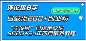 抖音评论区8字日截流200+创业粉 “卖项目”日稳定变现5000+【揭秘】-开心分享网