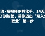 自然流·短视频IP孵化手，14天百万爆款了训练营，带你迈出“月入5W新职业”第一步