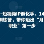 自然流·短视频IP孵化手，14天百万爆款了训练营，带你迈出“月入5W新职业”第一步