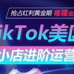 TIKTOK SHOP美区小店进阶运营，抢占红利黄金期 嘎嘎出单