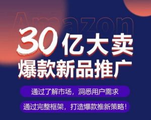 亚马逊·30亿大卖爆款新品推广,可复制、全程案例实操的爆款推新SOP-开心分享网