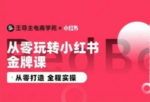 王导主·小红书电商运营实操课,从零打造 全程实操-开心分享网