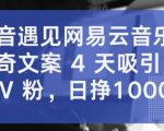 抖音遇见网易云音乐，新奇文案 4 天吸引 5W 粉，日挣1000+【揭秘】