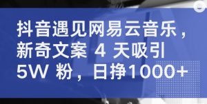 抖音遇见网易云音乐，新奇文案 4 天吸引 5W 粉，日挣1000+【揭秘】-开心分享网