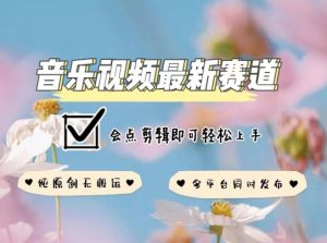 音乐视频赛道最新玩法，纯原创不违规，可所有平台同时发布，会点剪辑即可轻松拿捏【揭秘】-开心分享网