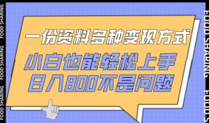 一份资料多种变现方式,小白也能轻松上手,日入800不是问题【揭秘】-开心分享网