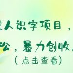 冷门成人识字项目，小白上手轻松，暴力创收月入5W+【揭秘】