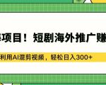 蓝海项目!短剧海外推广赚美金，利用AI混剪视频，轻松日入300+【揭秘】