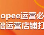 SHOPEE运营必备基础运营店铺打造，多层次的教你从0-1运营店铺