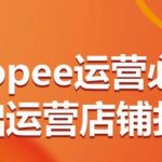SHOPEE运营必备基础运营店铺打造，多层次的教你从0-1运营店铺