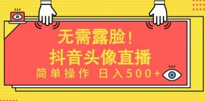 无需露脸,Ai头像直播项目,简单操作日入500+【揭秘】-开心分享网