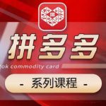 2024拼多多系列课，【基础】【运营】【活动】【推广】【玩法】5大模块