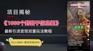 一千个野路子信息差最新玩法教程-变现+引流的玩法具体拆解【揭秘】-开心分享网