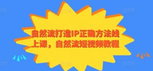自然流打造IP正确方法线上课,自然流短视频教程-开心分享网