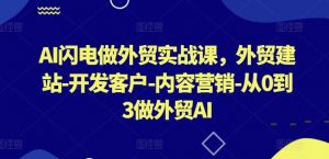 AI闪电做外贸实战课,外贸建站-开发客户-内容营销-从0到3做外贸AI-开心分享网