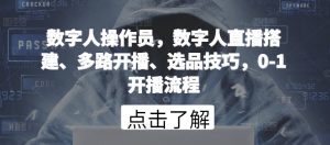 数字人操作员,数字人直播搭建、多路开播、选品技巧,0-1开播流程-开心分享网